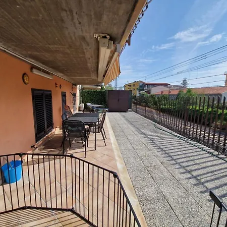 A&m Летоянни